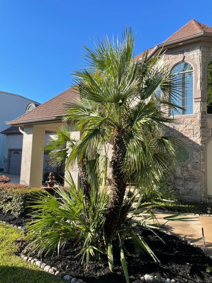 Luxuria Mini-Mansion Near Houston Downtown Villa Exterior photo